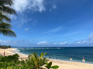 Meet your Posher, Mackenzie